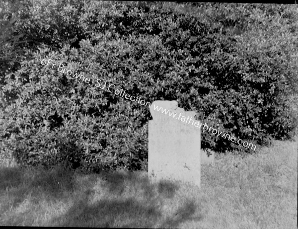 OLD TOMBSTONE IN GRAVEYARD